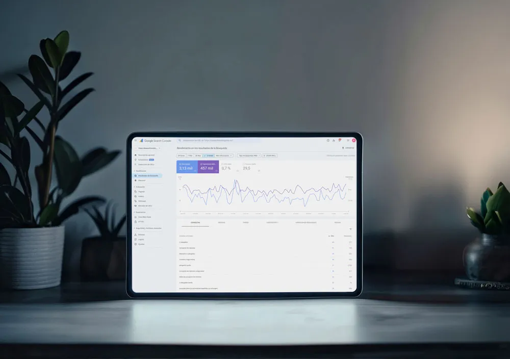 consultor seo barcelona